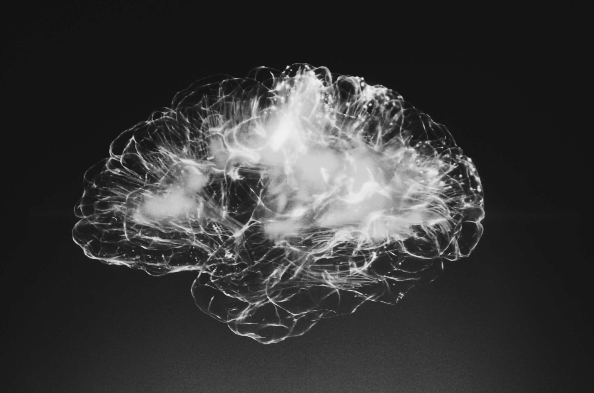 alina-grubnyak-tEVGmMaPFXk-unsplash neuro scienze